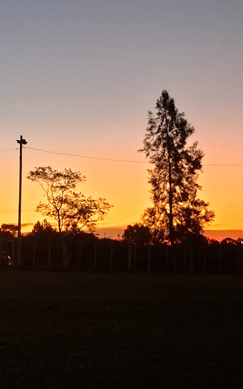 Cae el Sol